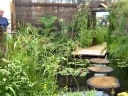 'A Hidden Retreat' back-to-back garden